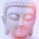 safe-haven-safe-place avatar