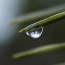 safe-in-the-storm avatar