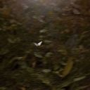 safe-is-with-me avatar