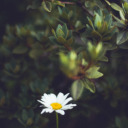 safereadingcorner avatar