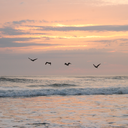 safetyininsanity avatar