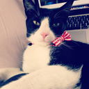 safetynotguaranteed avatar