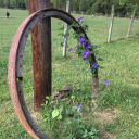 safetyslug-blog avatar