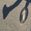 safetytowhere avatar