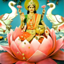 safran-safran avatar