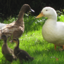 sagasandtales avatar