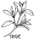 sage-green avatar