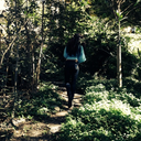 sage-within-blog avatar