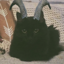 sage1theloststone avatar