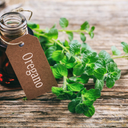 sagesrebloggingminion avatar