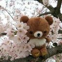 saggistariados avatar