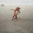 sagitariodream avatar