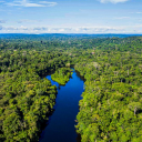 sagitariostuff avatar