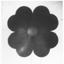 sagittariuskisses avatar