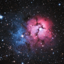 sagittariustrifidnebula avatar