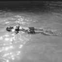 sagradapagana avatar