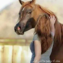 saharshahatit avatar