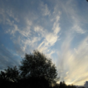 said-too-much avatar