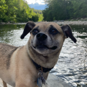 saidiwhatsaidi avatar