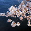 sailedsoul-blog avatar