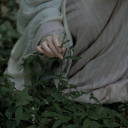 sailescaithuisce avatar