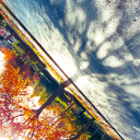 sailingonadream avatar