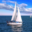 sailingonunchartedwaters avatar