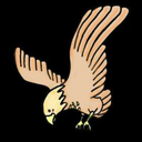 sailingtanoshi avatar