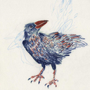 sailor--nibiru avatar