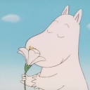 sailor-chiaki avatar