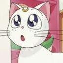 sailor-soleil avatar