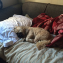 sailorkawaiikim avatar