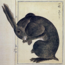 sailormachine avatar