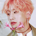 sailormoon-bin avatar