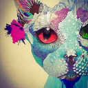 sailorniptune avatar