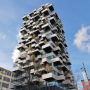 sailorstavern avatar