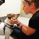 sailorsteviemoon avatar