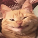 sailorsunspot avatar