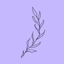 saint-collection avatar