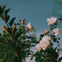 saint-gabriel-blog avatar