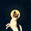 saint-laika avatar