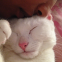 saint-remy-asylum avatar