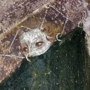 sainted-places avatar