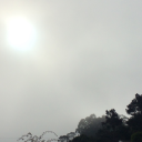 saintgarbanzo avatar