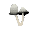 saintofsickos avatar