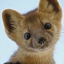 saintsnthorns avatar