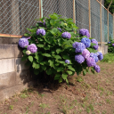 sakanakun2025 avatar