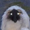 sakhmetandhathor-1 avatar