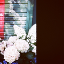 sakokuchan-blog avatar