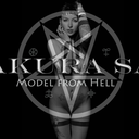 sakura-crousty-punk avatar